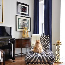 cozy living room with zebra decor sofa and a cat