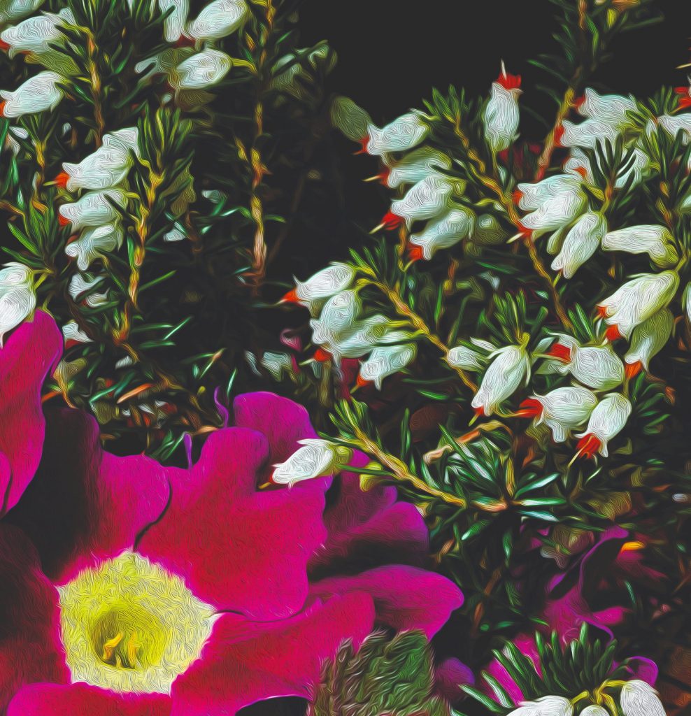 close up of digital paintings flora
